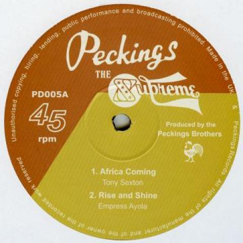 12inch Record TONY SEXTON; EMPRESS AYOLA / RANKIN - African Coming; Rise And Shine / Bu PD005 Peckings 2017 UK Reggae, Ska & Dub
12inch Record TONY SEXTON; EMPRESS AYOLA / RANKIN - African Coming; Rise And Shine / Bu PD005 Peckings 2017 UK Reggae, Ska & Dub