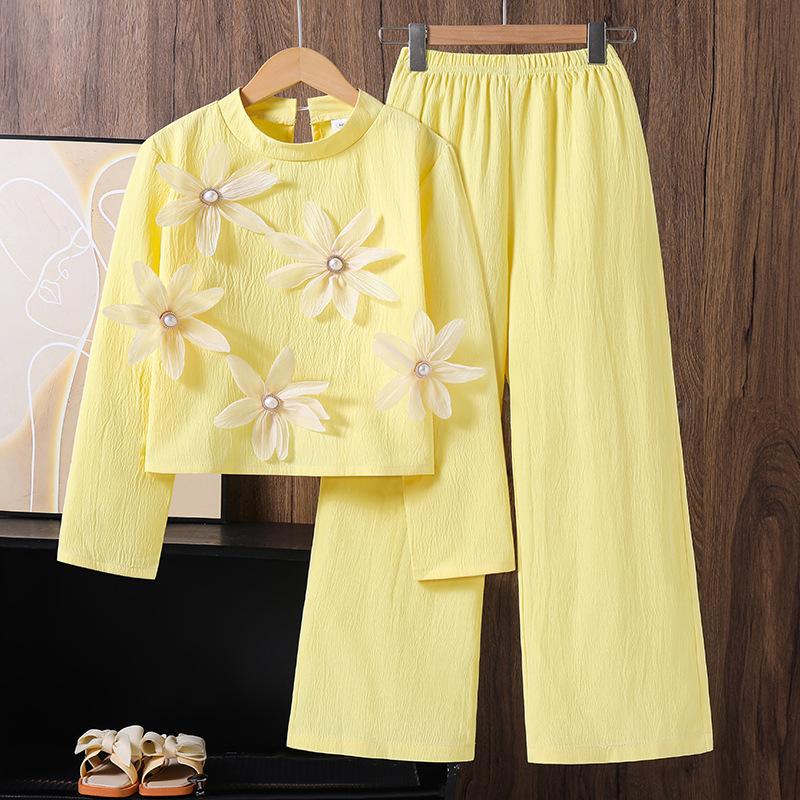 Girls Fashion Set 2025 Autumn Children s Casual Long-sleeved Top and Stylish Wide-leg Pants 130cm=8Y жовтий
Girls Fashion Set 2025 Autumn Children s Casual Long-sleeved Top and Stylish Wide-leg Pants 130cm=8Y жовтий