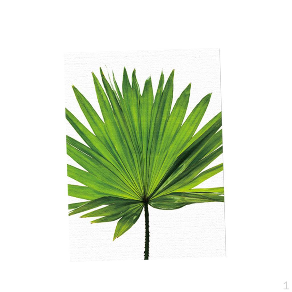 Картина Печать Холст Изображение Дом Стена Комната Подвесной Декор Размер Palmetto Leaf M
Картина Печать Холст Изображение Дом Стена Комната Подвесной Декор Размер Palmetto Leaf M
