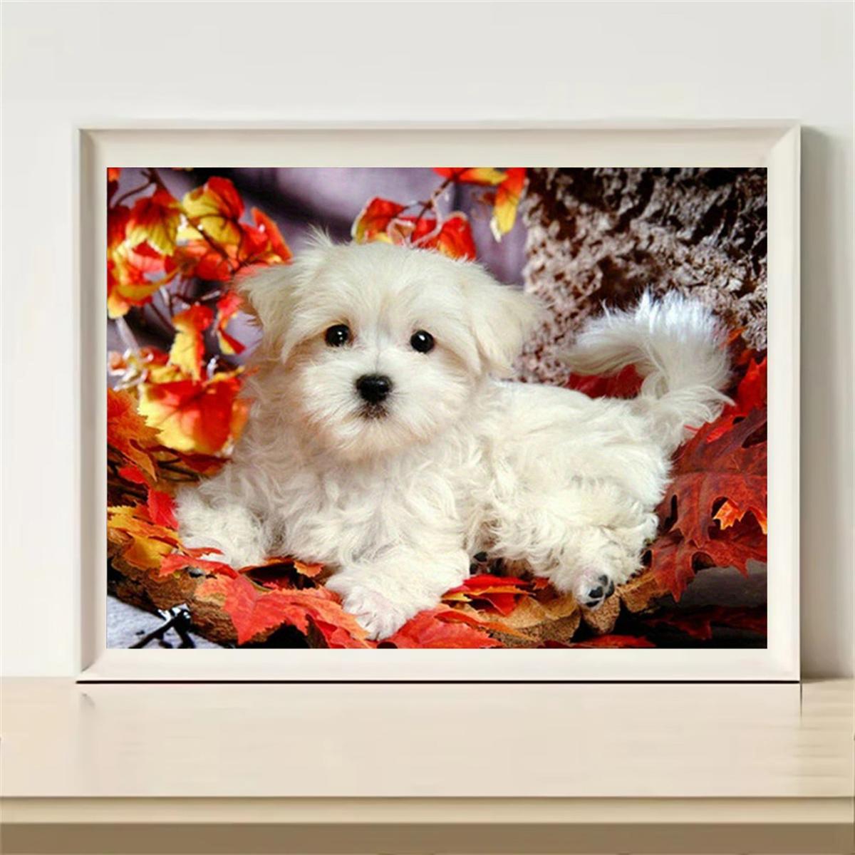 Алмазний малюнок 5D своїми руками, мультфільм дракона, для дорослих і дітей, набір для вишивання, водний алмазний живопис, подарунки для прикраси будинку ручної роботи Round drill 30x40cm
Алмазний малюнок 5D своїми руками, мультфільм дракона, для дорослих і дітей, набір для вишивання, водний алмазний живопис, подарунки для прикраси будинку ручної роботи Round drill 30x40cm