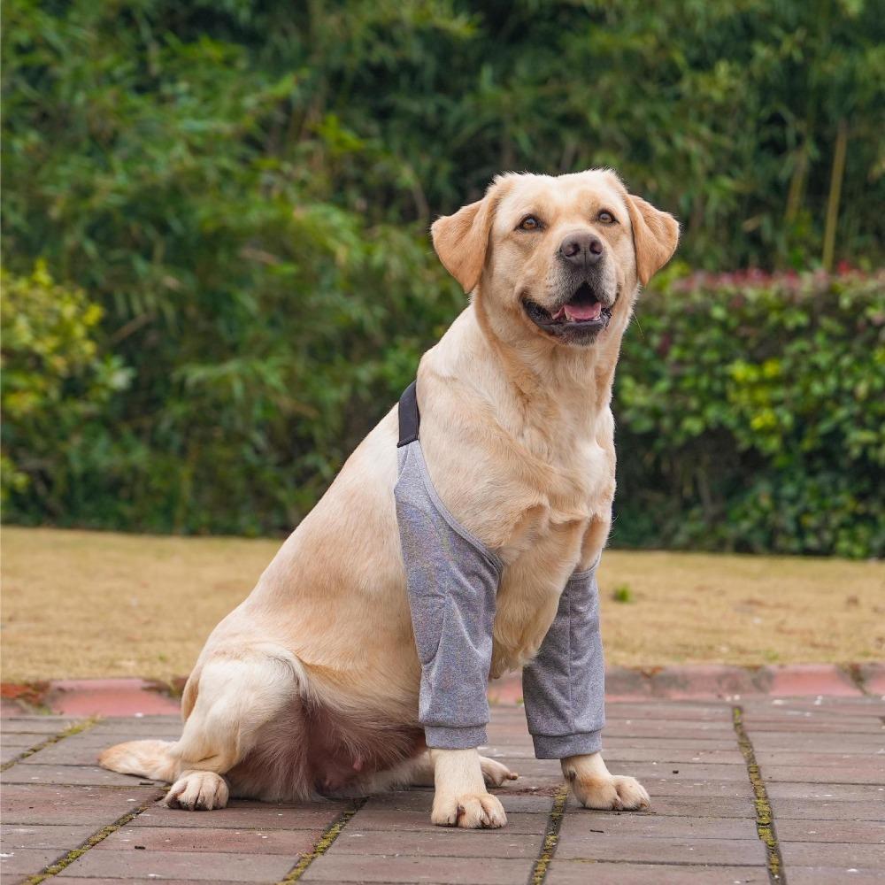 Хлопковый протектор для локтя собаки с рисунком из мультфильма, наколенники для домашних животных, налокотники для щенков L-Style 2
Хлопковый протектор для локтя собаки с рисунком из мультфильма, наколенники для домашних животных, налокотники для щенков L-Style 2