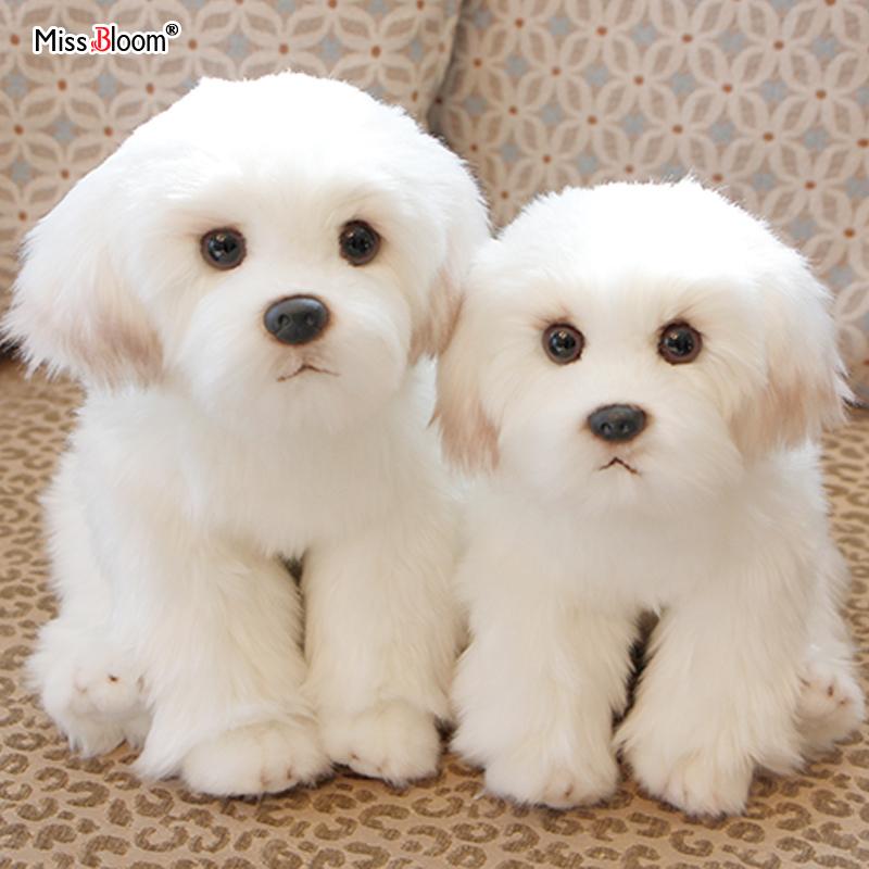 Maltese Stuffed Dog Dolls Plush Toy Cute Simulation Pets Fluffy Baby Birthday Gifts Christmas Children Malzis Puppy M size (1piece)
Maltese Stuffed Dog Dolls Plush Toy Cute Simulation Pets Fluffy Baby Birthday Gifts Christmas Children Malzis Puppy M size (1piece)