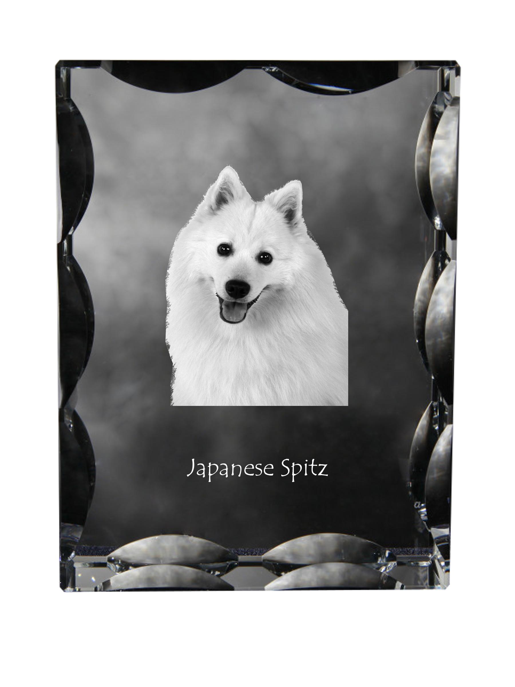 Japanese Spitz, Nihon Supittsu - crystal with a picture of a dog, glass statuette with a picture, unique frame with a picture from Art-Dog brand прозорий
Japanese Spitz, Nihon Supittsu - crystal with a picture of a dog, glass statuette with a picture, unique frame with a picture from Art-Dog brand прозорий