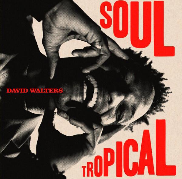 LP Record DAVID WALTERS - Soul Tropical HS238VL Heavenly Sweetn 2023 France Dance & Electronica
LP Record DAVID WALTERS - Soul Tropical HS238VL Heavenly Sweetn 2023 France Dance & Electronica