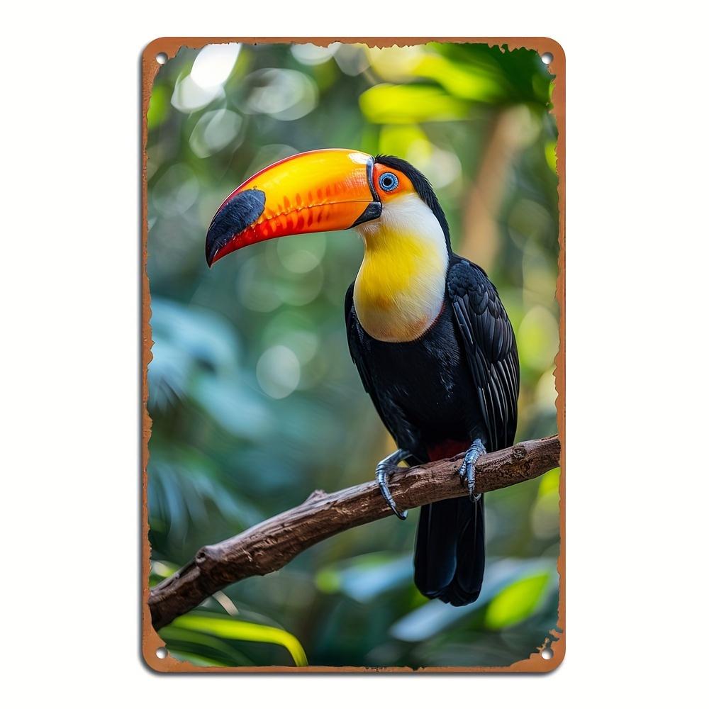 Toucan Bird Metal Wall Art Sign Vintage Style Iron Decorative Plaque Reusable for Home and Bar Suitable for Ages 14 aluminum 20x30cm
Toucan Bird Metal Wall Art Sign Vintage Style Iron Decorative Plaque Reusable for Home and Bar Suitable for Ages 14 aluminum 20x30cm