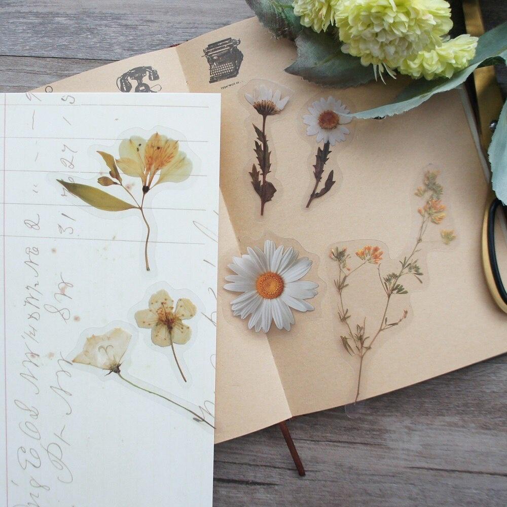 10pcs Big Size White Daisy Flower Style PVC Transparent Sticker Scrapbooking DIY Gift Decoration Tag світло-сірого кольору
10pcs Big Size White Daisy Flower Style PVC Transparent Sticker Scrapbooking DIY Gift Decoration Tag світло-сірого кольору