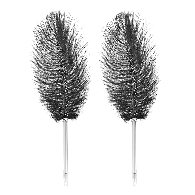 PATIKIL feather ballpoint pen 2 pieces 0.5mm Fluffy vintage ink quill pen sophisticated plated rod calligraphy signature guest wedding gifts black
PATIKIL feather ballpoint pen 2 pieces 0.5mm Fluffy vintage ink quill pen sophisticated plated rod calligraphy signature guest wedding gifts black