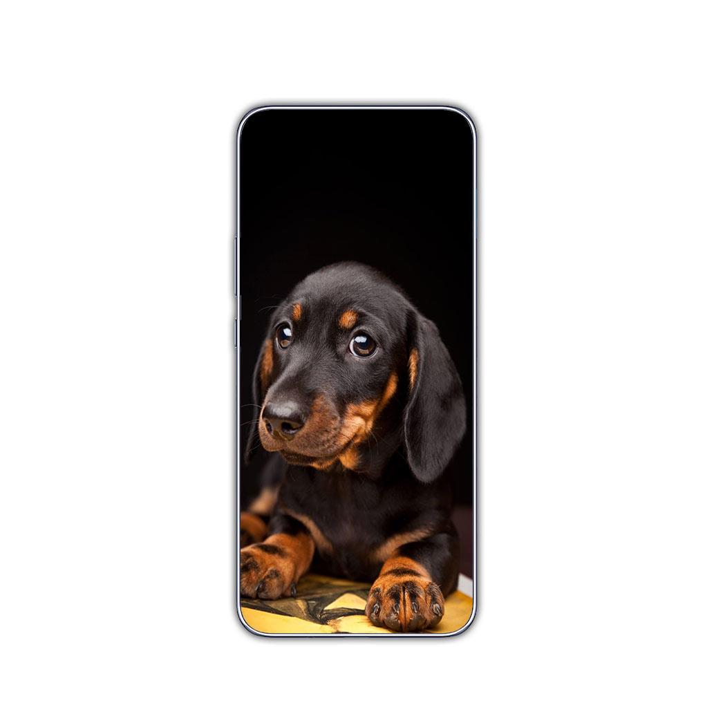 Animal Lovely Dachshund Dog Phone Cover for Motorola Moto G13 G14 G53 G54 G62 G72 G82 G84 E13 E20 G42 G32 G23 G22 Soft Case Moto G54 5G
Animal Lovely Dachshund Dog Phone Cover for Motorola Moto G13 G14 G53 G54 G62 G72 G82 G84 E13 E20 G42 G32 G23 G22 Soft Case Moto G54 5G