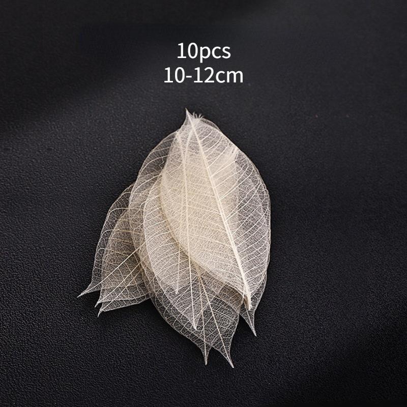 Home Decor Maple Leaves For Cocktail Mixed Drink Fall Colored Maple Leaves For Weddings And Bar Home Party Accessories
Home Decor Maple Leaves For Cocktail Mixed Drink Fall Colored Maple Leaves For Weddings And Bar Home Party Accessories