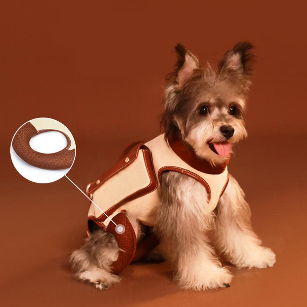 Small Portable Pet Lifter Carrier Dog Lift Support Harness Leash Dog Vest Harness For dogs XS
Small Portable Pet Lifter Carrier Dog Lift Support Harness Leash Dog Vest Harness For dogs XS