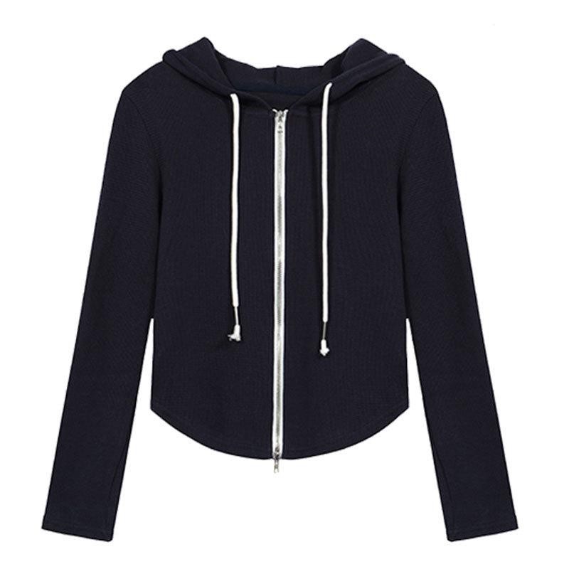 Curved Hem Plus Size Hooded Sweatshirt - Slimming Irregular Short Top for Spring and Autumn M ( 90 kg)
Curved Hem Plus Size Hooded Sweatshirt - Slimming Irregular Short Top for Spring and Autumn M ( 90 kg)