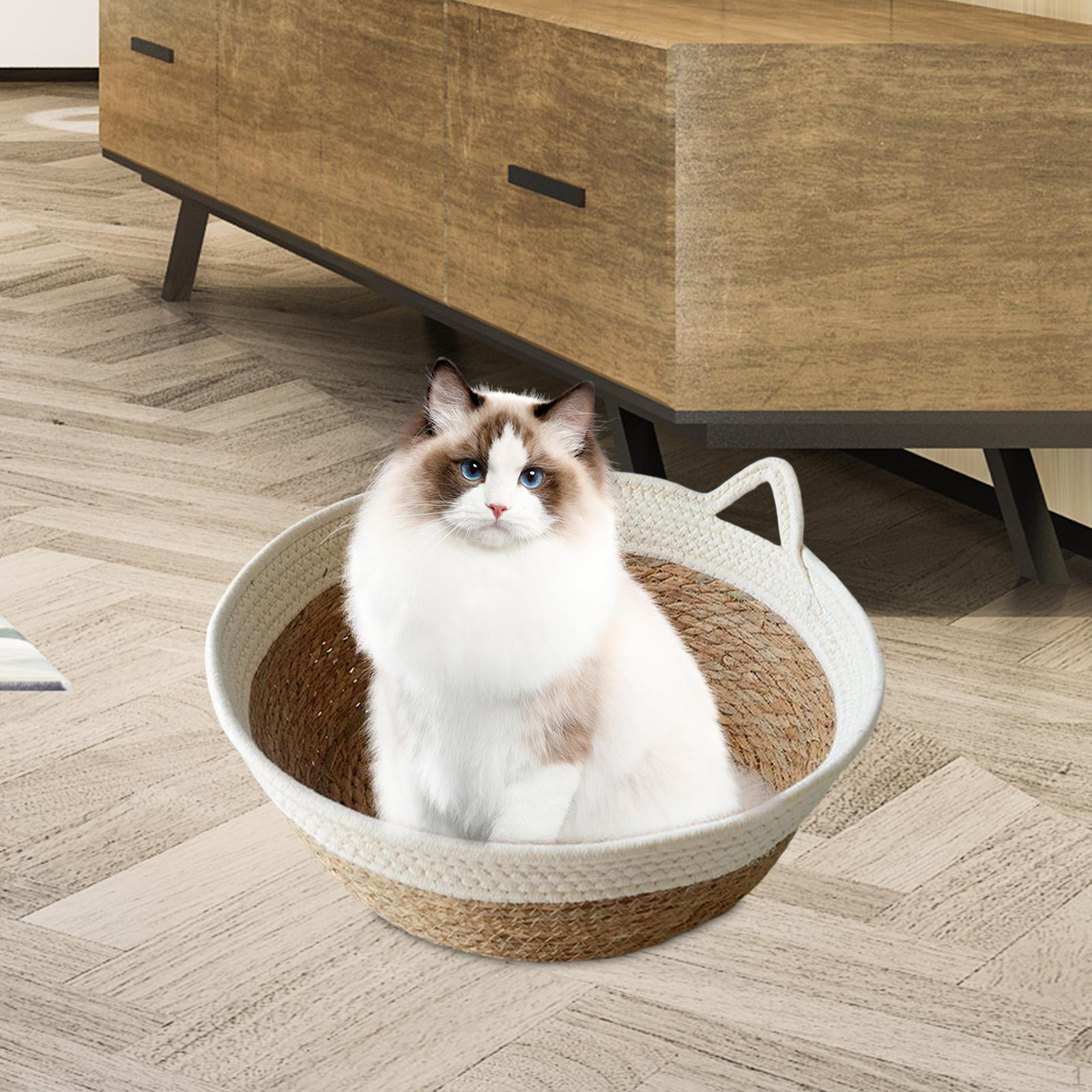 Bed: Handcrafted Rattan Pet House for Feline Comfort Large
Bed: Handcrafted Rattan Pet House for Feline Comfort Large