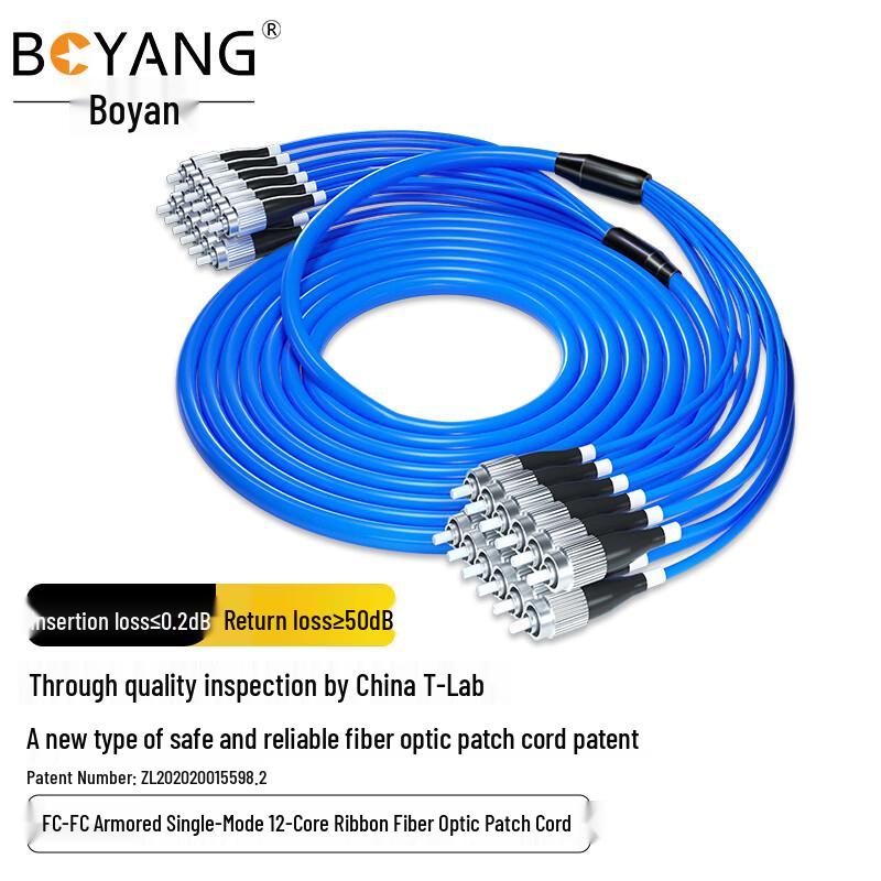 Boyang Telecom Grade Armored 12-Core Single-Mode Fiber Optic Patch Cable with LSZH Sheath 3m
Boyang Telecom Grade Armored 12-Core Single-Mode Fiber Optic Patch Cable with LSZH Sheath 3m