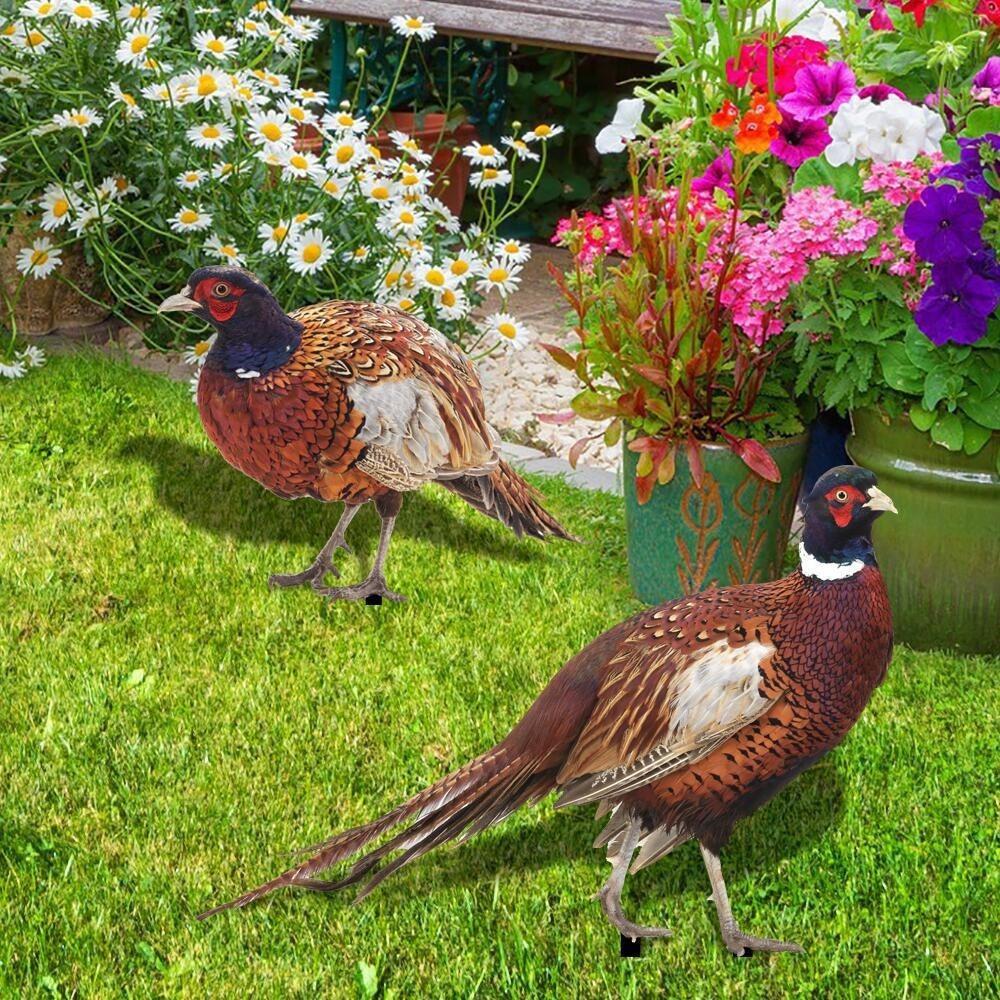 Double-sided Pheasants Stake Waterproof Chicken Statues Pheasant Garden Decorations Courtyard
Double-sided Pheasants Stake Waterproof Chicken Statues Pheasant Garden Decorations Courtyard