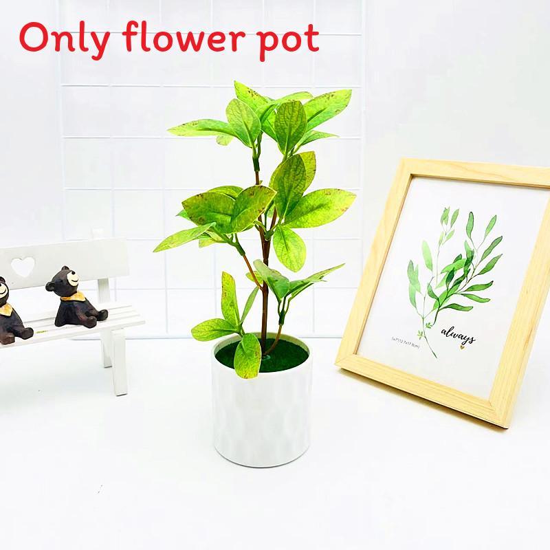 Multi Color Simulated Leaves Potted Artificial Plant Ornament Decoration
Multi Color Simulated Leaves Potted Artificial Plant Ornament Decoration