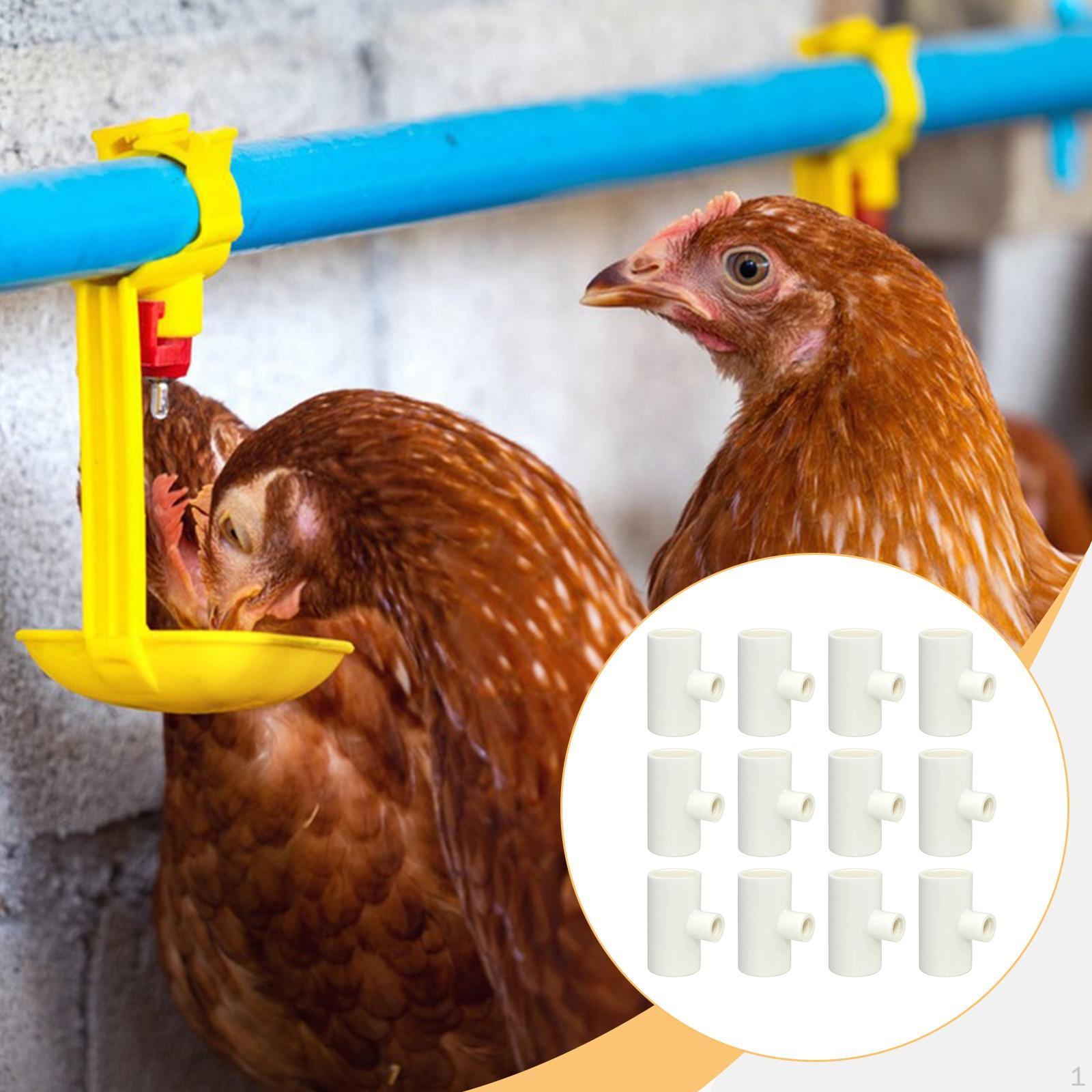 12Pcs Chicken Waterer Tee Fittings Easy to Install, Spare Parts, Durability 1/2 Accessories for
12Pcs Chicken Waterer Tee Fittings Easy to Install, Spare Parts, Durability 1/2 Accessories for
