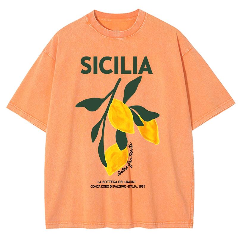 Amalfi Coast Italia Lemon Fruit Design Women Washed T-Shirts Y2K Casual T Shirt Summer Top Cotton Loose Short Sleeve 2XL
Amalfi Coast Italia Lemon Fruit Design Women Washed T-Shirts Y2K Casual T Shirt Summer Top Cotton Loose Short Sleeve 2XL