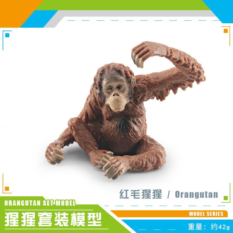 Коллекция реалистичных моделей орангутанов из ПВХ с детализированными чертами для уникального декора стола Red Gorilla 42g
Коллекция реалистичных моделей орангутанов из ПВХ с детализированными чертами для уникального декора стола Red Gorilla 42g