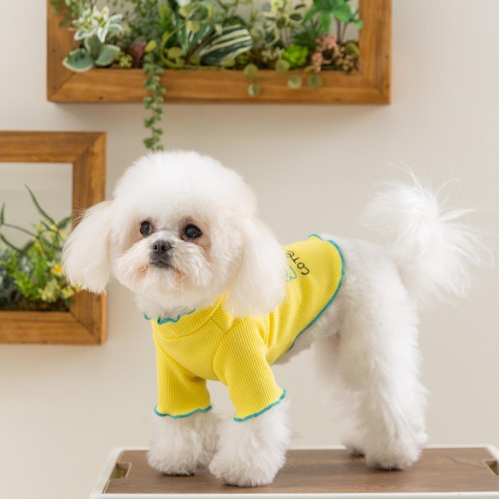 Letter Embroidery Dog Home Clothes Thin Dogs Two Legs Casual Wear Dog Shirt Small Medium Dog XS жовтий
Letter Embroidery Dog Home Clothes Thin Dogs Two Legs Casual Wear Dog Shirt Small Medium Dog XS жовтий