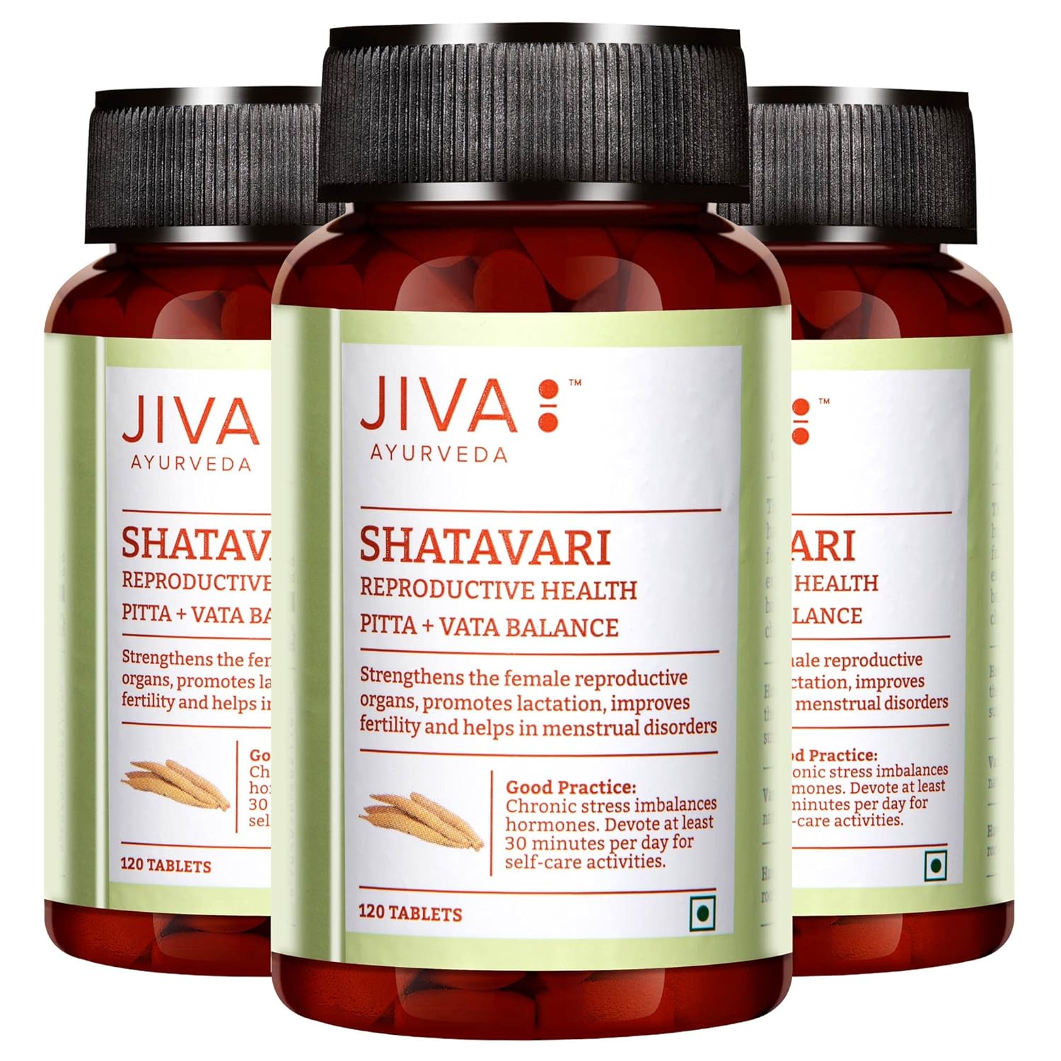Jiva Shatavari Tablets 500mg For Women s Wellness And Daily Balance 120 Tablets Pack Of 3 Natural Herbal Supplement Daily Support
Jiva Shatavari Tablets 500mg For Women s Wellness And Daily Balance 120 Tablets Pack Of 3 Natural Herbal Supplement Daily Support