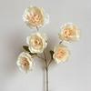 Artificial Flowers Core Content 5 Head Peony Silk Fake Flower Bouquets for Wedding Decoration Ideal for Indoor Aesthetic Display шампанського
Artificial Flowers Core Content 5 Head Peony Silk Fake Flower Bouquets for Wedding Decoration Ideal for Indoor Aesthetic Display шампанського