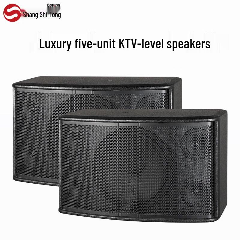 Shangshitong CP-210 Professional 10-inch 3-Way Conference Speaker (CN version)
Shangshitong CP-210 Professional 10-inch 3-Way Conference Speaker (CN version)