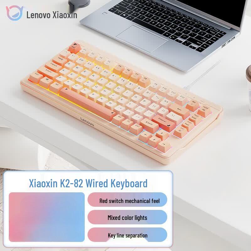 Lenovo K2-82 Wired Silent Mechanical Feel Keyboard
Lenovo K2-82 Wired Silent Mechanical Feel Keyboard