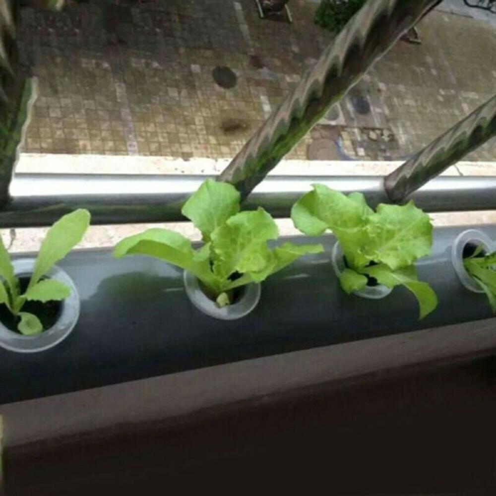 Plant Net Container Set 50PCS and 50PCS Sponge Blocks for Hydroponics Aquaponics and Indoor Soilless Cultivation China Mainland
Plant Net Container Set 50PCS and 50PCS Sponge Blocks for Hydroponics Aquaponics and Indoor Soilless Cultivation China Mainland