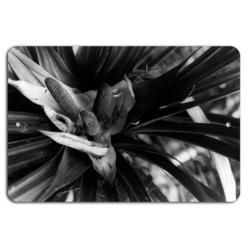 Exotic Elegance Tropical Bloom in Black WhiteAluminumtin sign 20x30cm(7.8x11.8inch)
Exotic Elegance Tropical Bloom in Black WhiteAluminumtin sign 20x30cm(7.8x11.8inch)