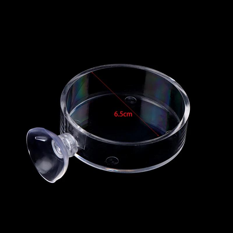 1Pc Fish Tank Acrylic Feeding Tube Transparent Aquarium Feeder Tube Dish Shrimp Snail Shrimp Food Feeding Accessories-Homeclub
1Pc Fish Tank Acrylic Feeding Tube Transparent Aquarium Feeder Tube Dish Shrimp Snail Shrimp Food Feeding Accessories-Homeclub
