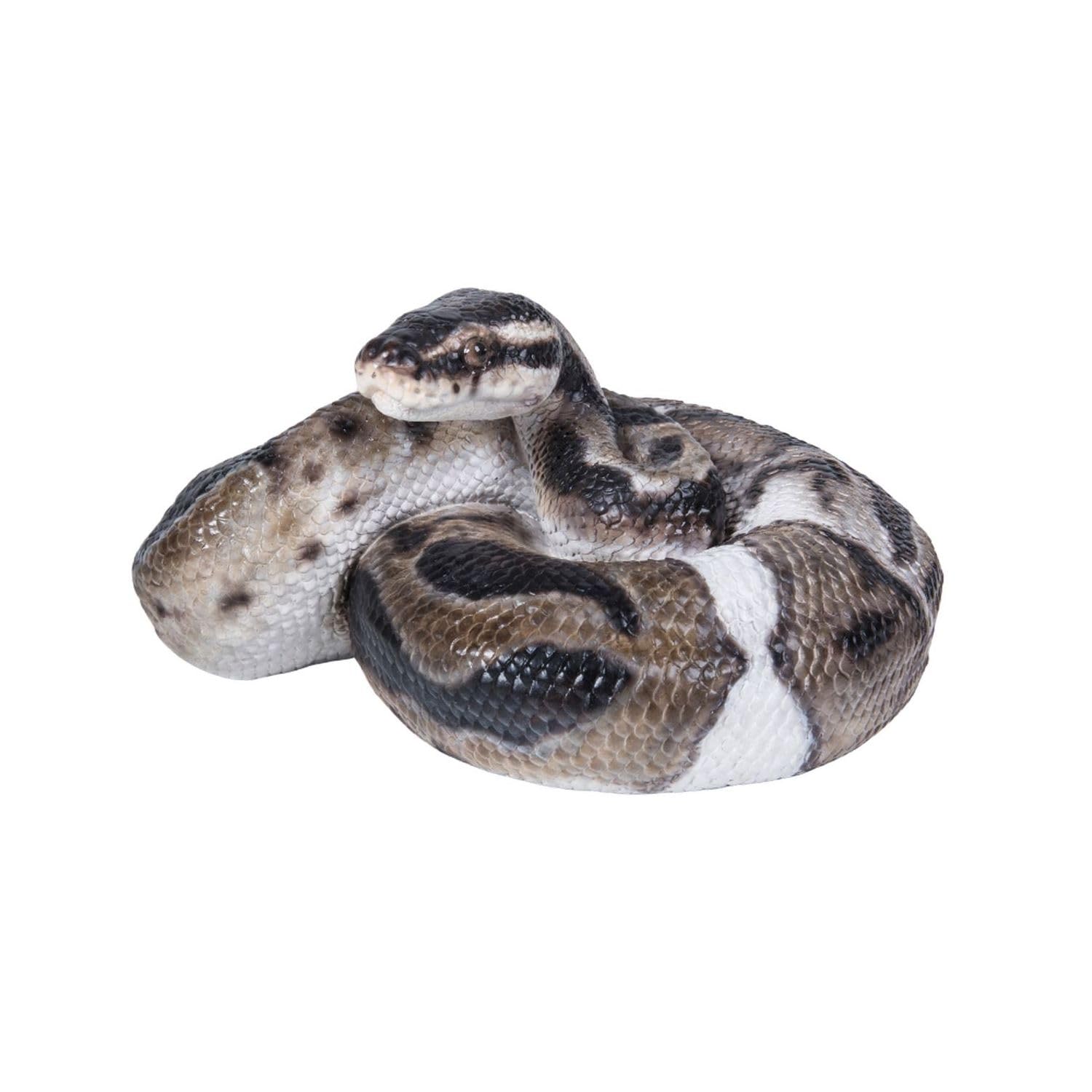Woobia Ball Python x x Doll Figure Ornament Animal Garden Decoration Snake H18317 19.7 14.8 9.8cm
Woobia Ball Python x x Doll Figure Ornament Animal Garden Decoration Snake H18317 19.7 14.8 9.8cm