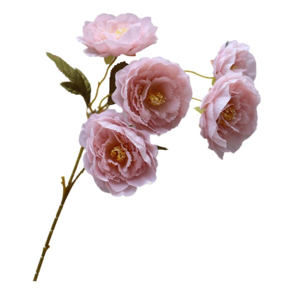 Lifelike 5 Flowers/Bundle Artificial Flowers with Stems Floral Arrangements Fake Peony Real Touch Silk Flowers Wedding
Lifelike 5 Flowers/Bundle Artificial Flowers with Stems Floral Arrangements Fake Peony Real Touch Silk Flowers Wedding