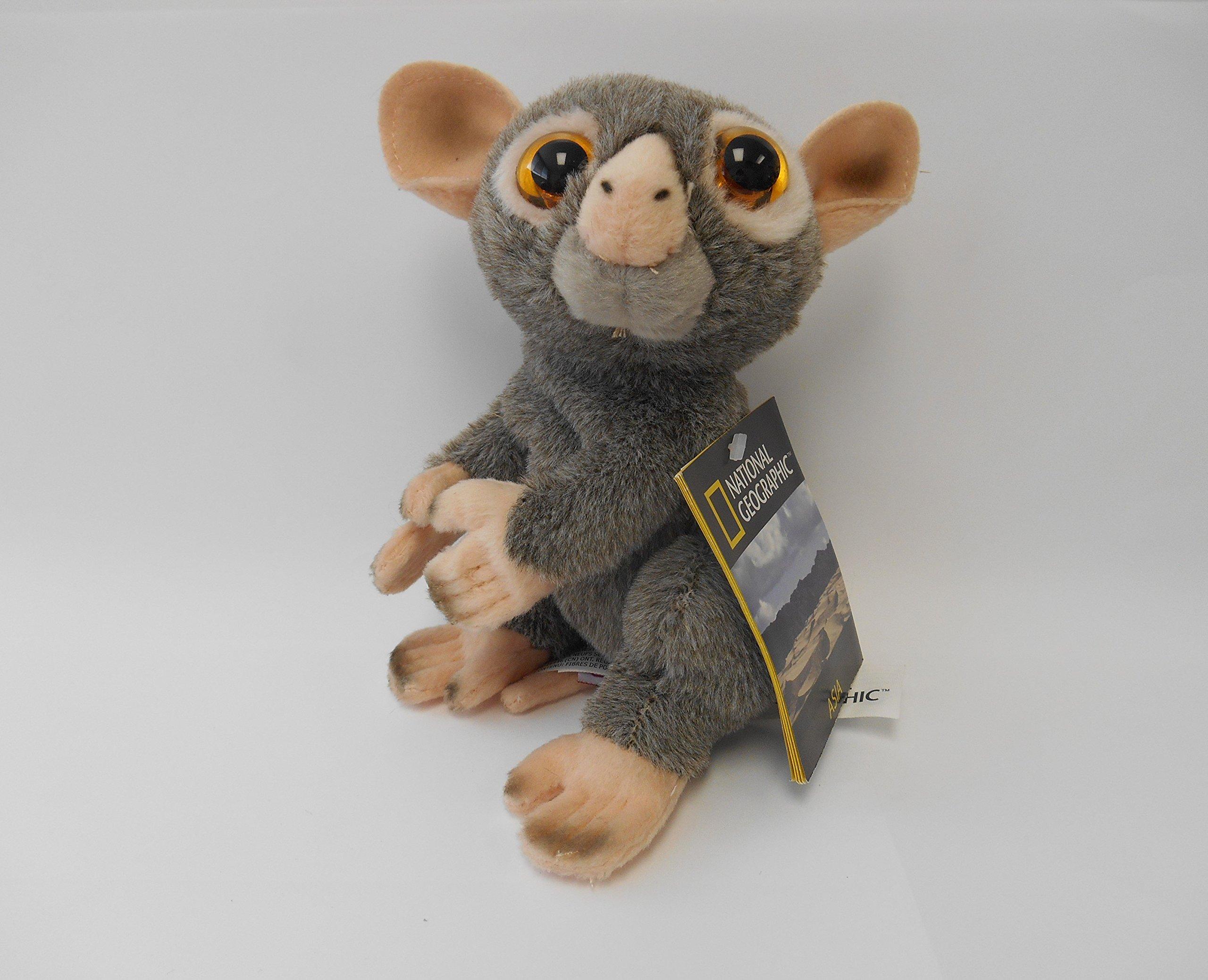National Geographic Plush Baby Tarsier 770777D
National Geographic Plush Baby Tarsier 770777D