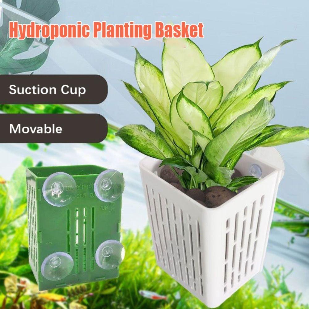 Suction Cup Fish Tank Hydroponic Planting Basket Plastic Aquatic Pot Planter Glass Pot зелений
Suction Cup Fish Tank Hydroponic Planting Basket Plastic Aquatic Pot Planter Glass Pot зелений