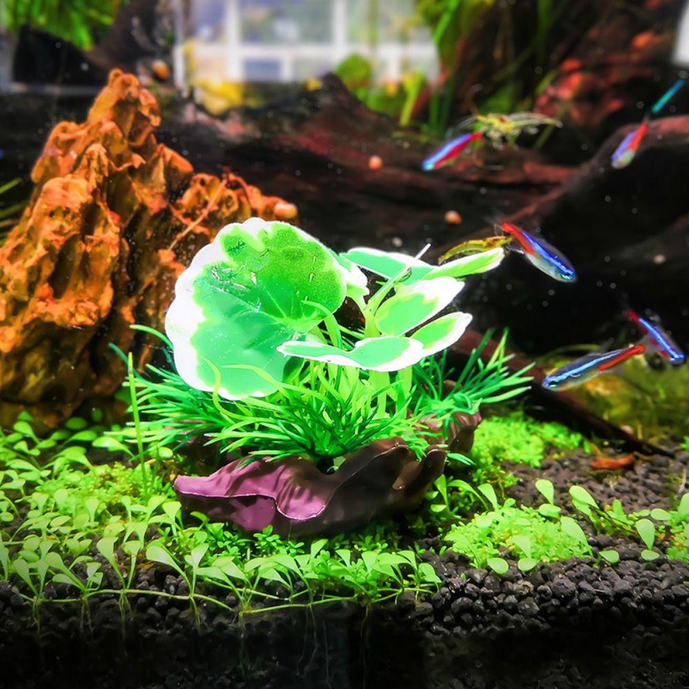 Decorative Fake Water Plant Lifelike Aquatic Plants Ornaments Sunken Wood Landscaping Style B
Decorative Fake Water Plant Lifelike Aquatic Plants Ornaments Sunken Wood Landscaping Style B