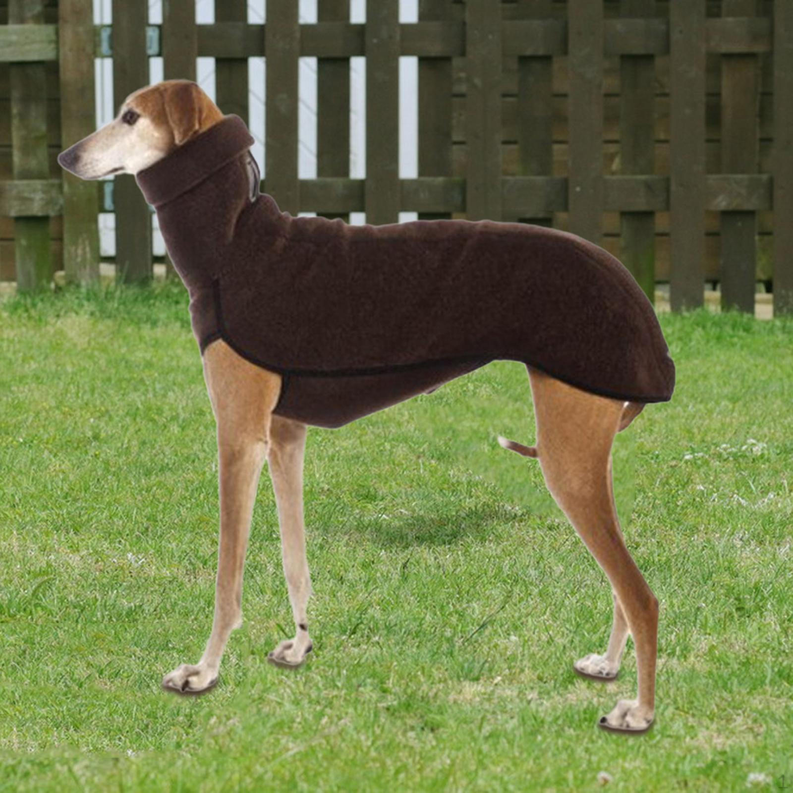 Turtleneck Dog Coat Outfits Cosplay Photo Props Knitting Vest Pet Jacket for Training Party
Turtleneck Dog Coat Outfits Cosplay Photo Props Knitting Vest Pet Jacket for Training Party