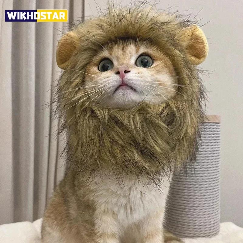 Кошка Косплей Одевание Шляпа для питомца Львиная грива для кота Щенок Львиный парик Костюм Украшения для вечеринки Хэллоуин Рождество GatosPet Supplies S коричневый
Кошка Косплей Одевание Шляпа для питомца Львиная грива для кота Щенок Львиный парик Костюм Украшения для вечеринки Хэллоуин Рождество GatosPet Supplies S коричневый