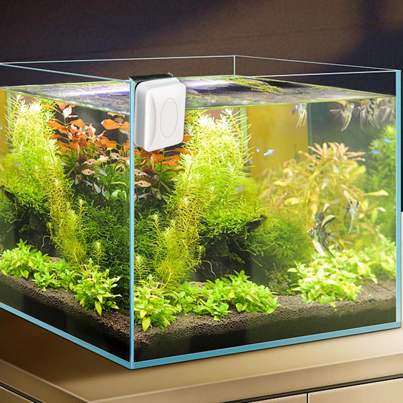 Magnetic Fish Tank Scrubber Aquarium Glass Cleaner Brush Streamlined Design Magnet Cleaning Tool For Aquarium Glass Glass Door China Mainland
Magnetic Fish Tank Scrubber Aquarium Glass Cleaner Brush Streamlined Design Magnet Cleaning Tool For Aquarium Glass Glass Door China Mainland
