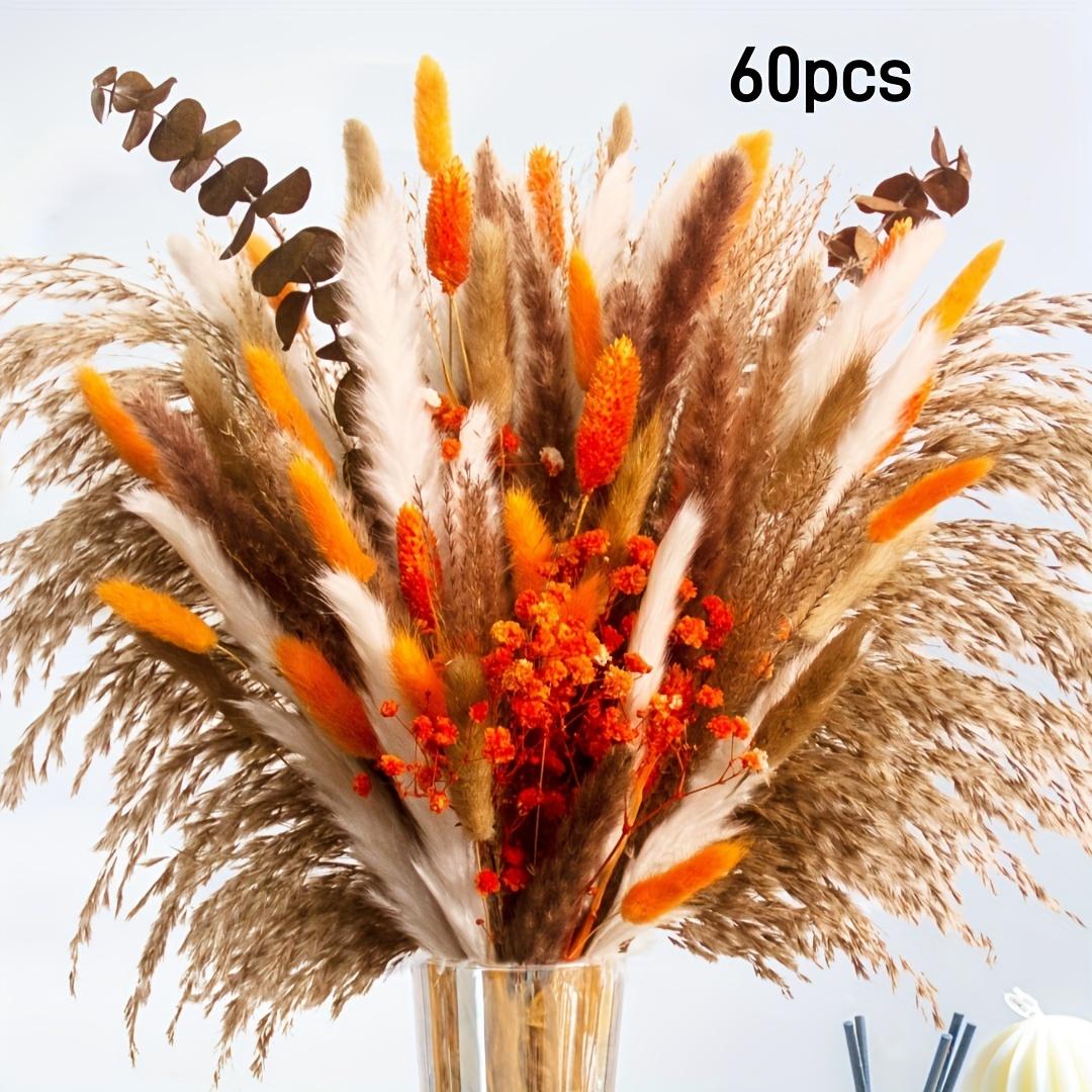 Boho Persian Grass & Starry Sky Bouquet with Eucalyptus. Perfect for Wedding, Home, Tabletop & Christmas Decor. 60pcs. Shop Now!
Boho Persian Grass & Starry Sky Bouquet with Eucalyptus. Perfect for Wedding, Home, Tabletop & Christmas Decor. 60pcs. Shop Now!
