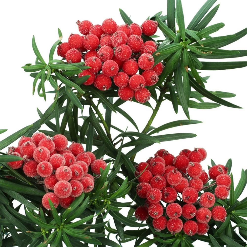 5 Bundle Wire Flower Stem Frosted Artificial Berry Bendable Wreath Accessories Party вино красного
5 Bundle Wire Flower Stem Frosted Artificial Berry Bendable Wreath Accessories Party вино красного