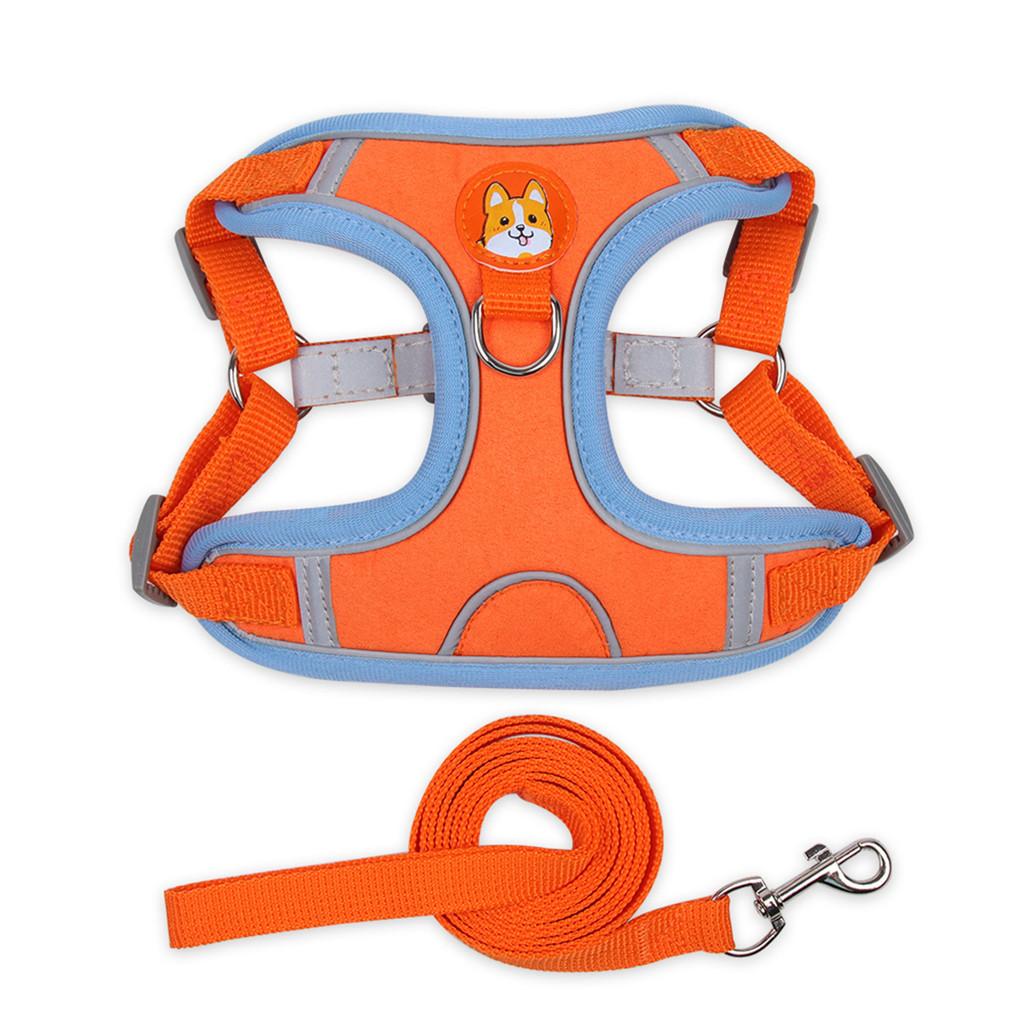 Lightweight Breathable Dog Harness With Mesh Fabric For Summer Active Pets Style F,S
Lightweight Breathable Dog Harness With Mesh Fabric For Summer Active Pets Style F,S