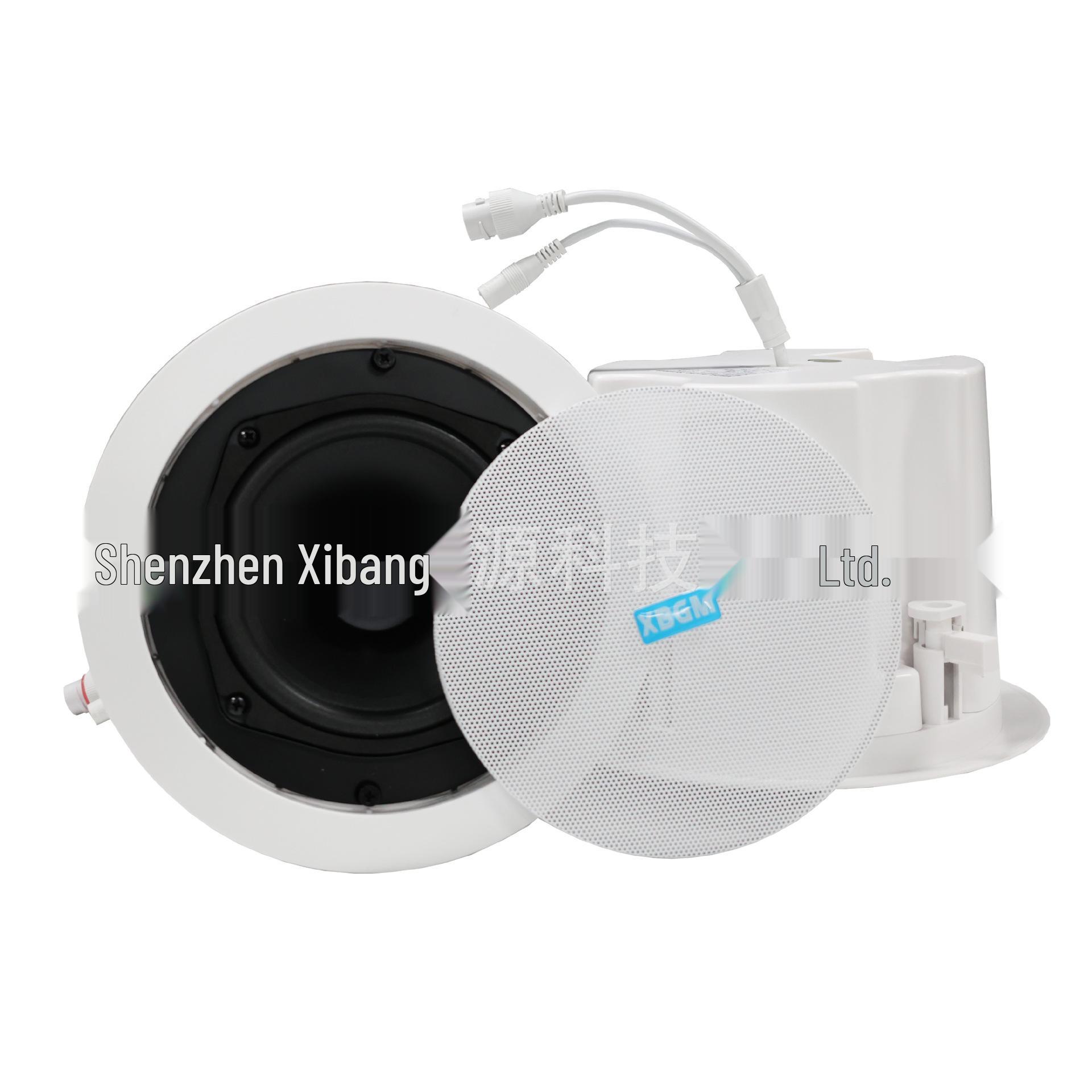 IP Network Ceiling Speaker
IP Network Ceiling Speaker