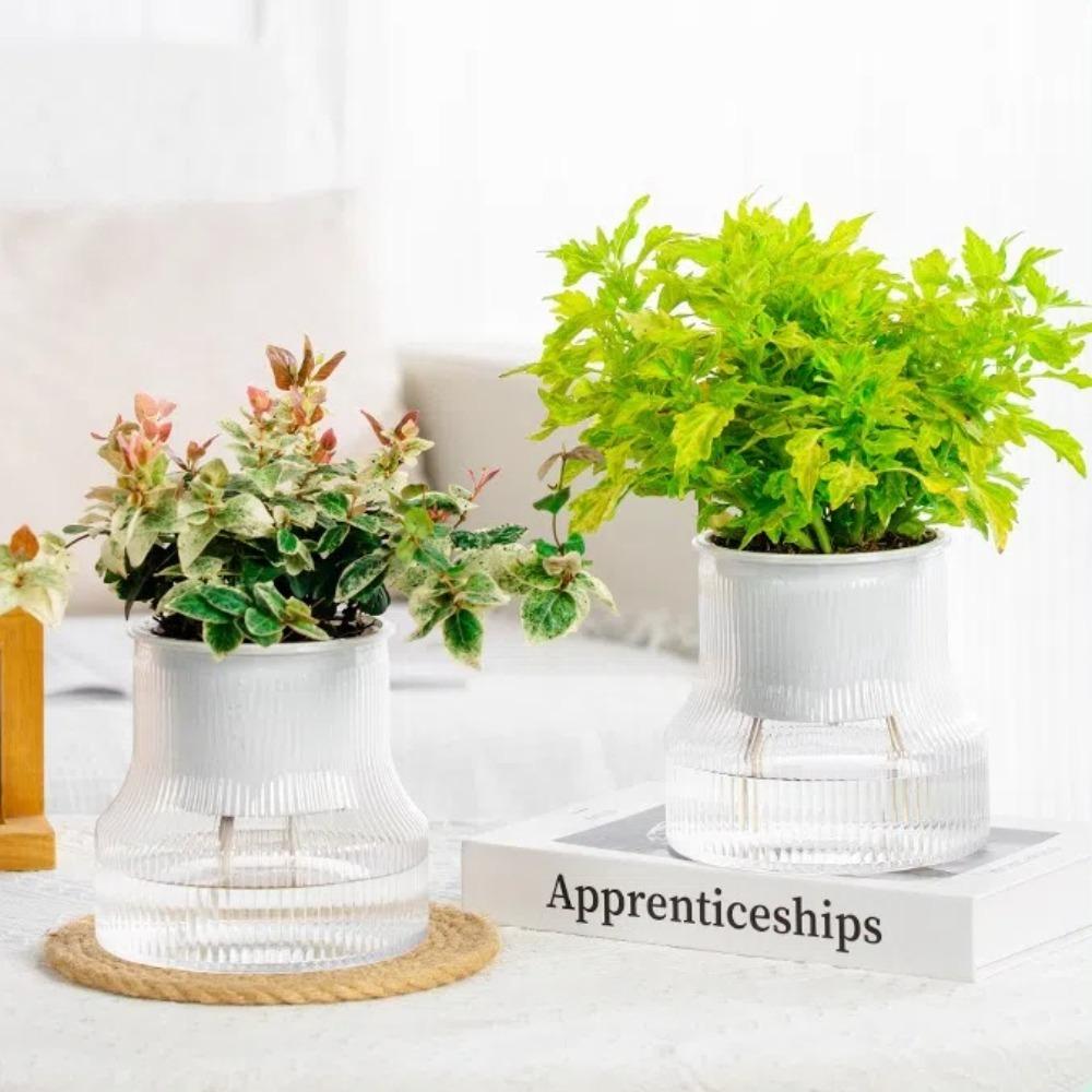 Plastic Self Watering Planter Pot Self Watering Plant Pots Minimalist Flower Pot Home прозорий
Plastic Self Watering Planter Pot Self Watering Plant Pots Minimalist Flower Pot Home прозорий