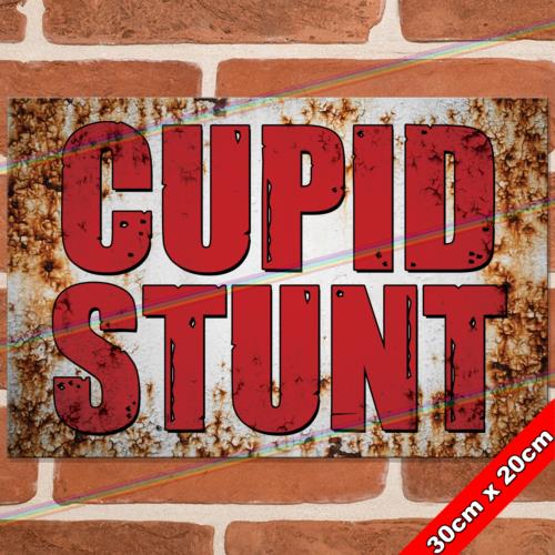 CUPID STUNT cm Metal Signs Mancave Shed Bar Garage Funny Gift Retro Tin SignAluminum 20x30cm(7.8x11.8inch)
CUPID STUNT cm Metal Signs Mancave Shed Bar Garage Funny Gift Retro Tin SignAluminum 20x30cm(7.8x11.8inch)