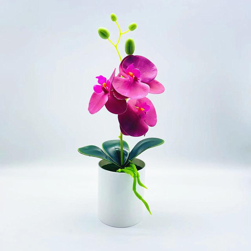 Faux With Phalaenopsi Lightweight Material For Room Decor Durable Plastic Pvc Full Purple
Faux With Phalaenopsi Lightweight Material For Room Decor Durable Plastic Pvc Full Purple