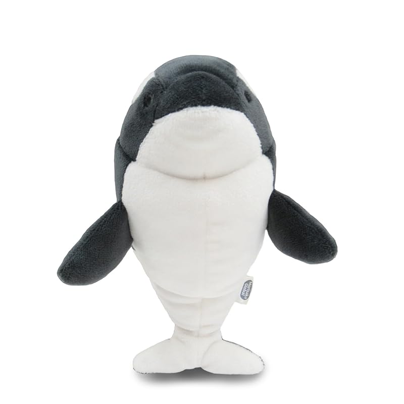 Morisaka Global Mochi Shachi Mini Killer Whale Plush Toy, 7 x 5 x 14cm, Aquarium-Friendly, Soft and Comfortable, Cute Animal, Mochi Series, MOSC-0088
Morisaka Global Mochi Shachi Mini Killer Whale Plush Toy, 7 x 5 x 14cm, Aquarium-Friendly, Soft and Comfortable, Cute Animal, Mochi Series, MOSC-0088