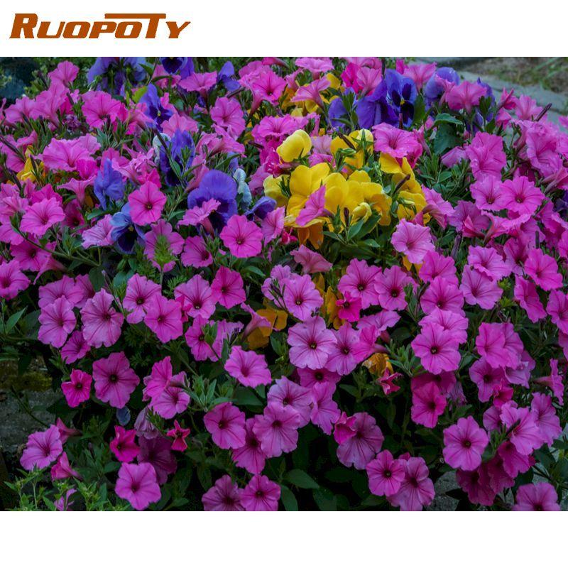 Ruopoty Frameless Flowers Series DIY Картина за номерами Ручний розпис маслом Акриловий малюнок за номерами для домашнього декору Подарунок 40x50CM NO Frame
Ruopoty Frameless Flowers Series DIY Картина за номерами Ручний розпис маслом Акриловий малюнок за номерами для домашнього декору Подарунок 40x50CM NO Frame