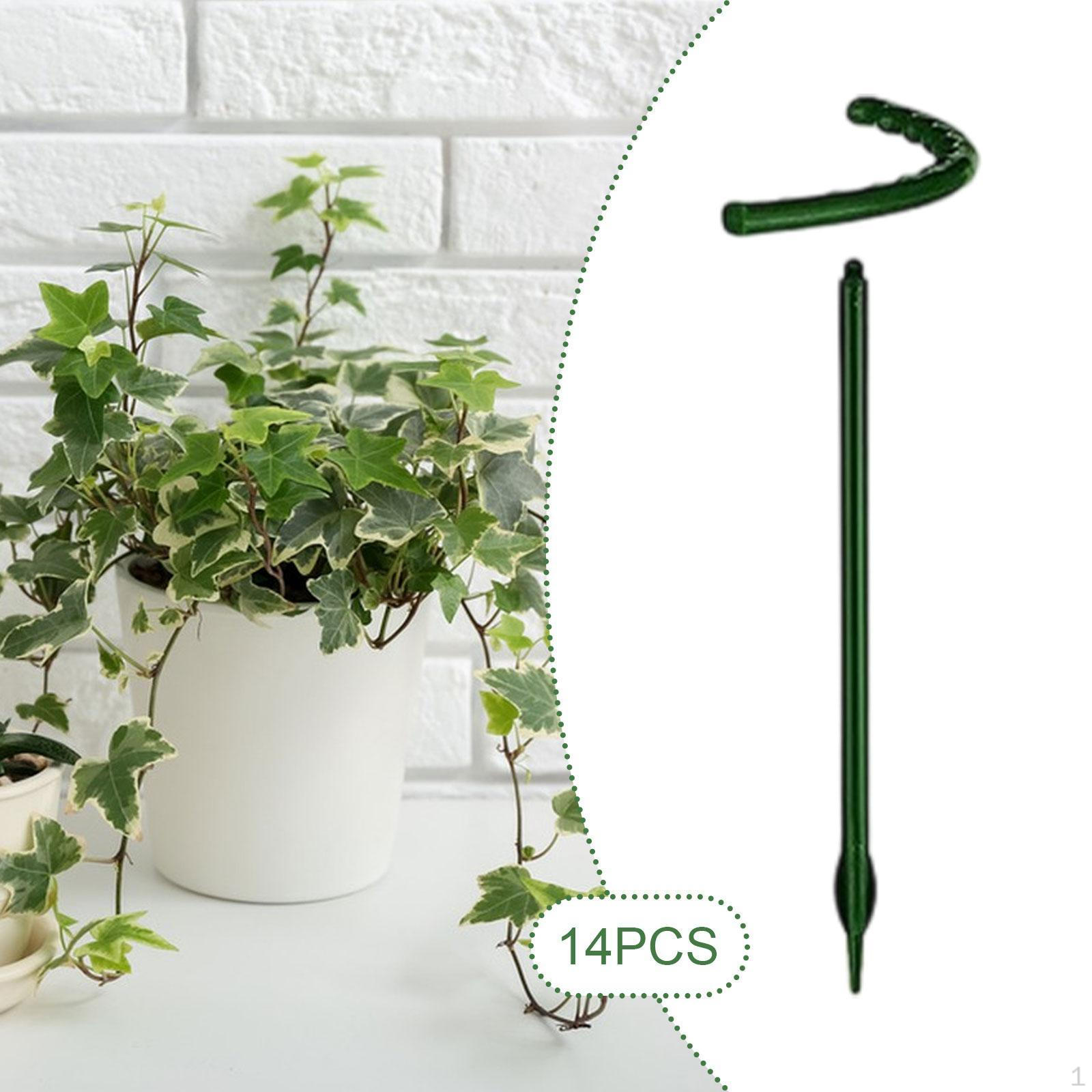 14 штук Опорні кілки для рослин Квіткові кільця Для відкритого саду Інструменти для бонсаю Півколо 14cmx14cm
14 штук Опорні кілки для рослин Квіткові кільця Для відкритого саду Інструменти для бонсаю Півколо 14cmx14cm