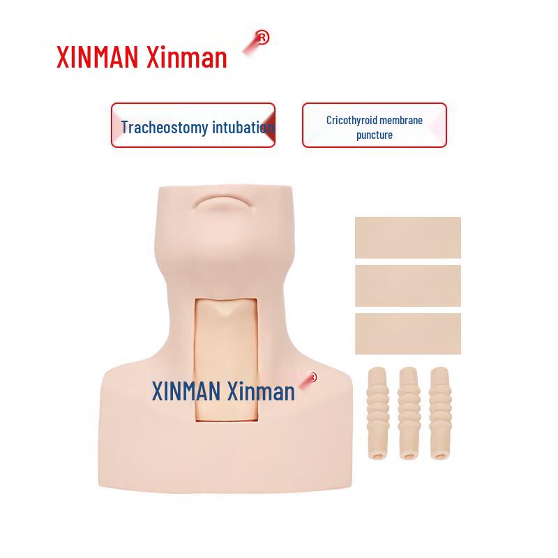 XINMAN Cricothyroid Membrane Puncture and Tracheostomy Training Model
XINMAN Cricothyroid Membrane Puncture and Tracheostomy Training Model