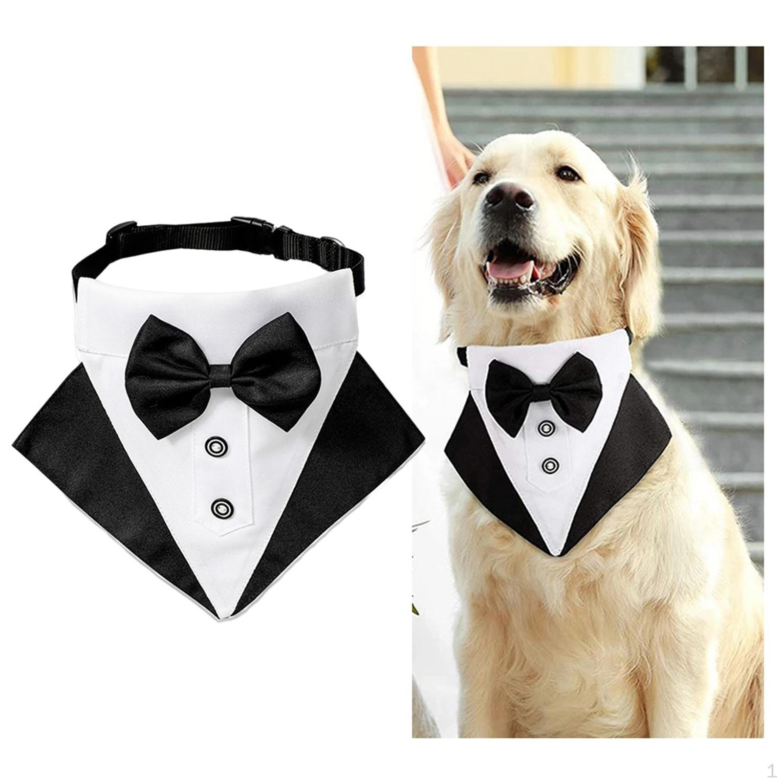 Смокинг для собаки, костюм с галстуком и полотенцем для свадебного подарка, Wer Black
Смокинг для собаки, костюм с галстуком и полотенцем для свадебного подарка, Wer Black